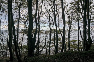 Insel Rügen.Meerblick vom Rügener 