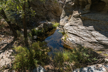 Water flowing down a ravine in the Sierra Nevada