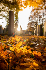 Sonnenuntergang im Herbst auf einem Friedhof