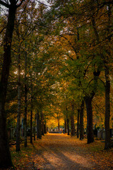 Sonnenuntergang im Herbst auf einem Friedhof