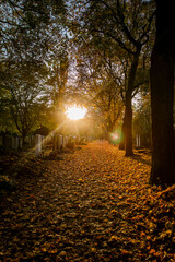 Sonnenuntergang im Herbst auf einem Friedhof
