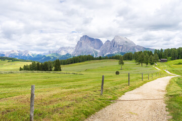 hiking trail and mountains in the back, in Alpe di Siusi, Dolomites, South Tyrol, Italy