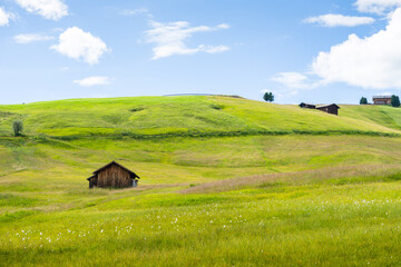  wooden hut /cottage in green  in meadow, Alpe di Siusi, Dolomites, South Tyrol, Italy