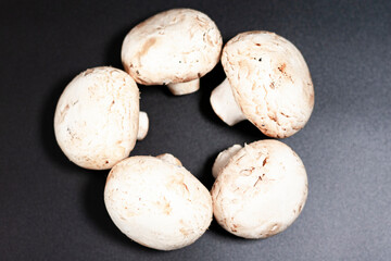 Fototapeta na wymiar Group of champignons. Arranged in a circle in the center of the screen.