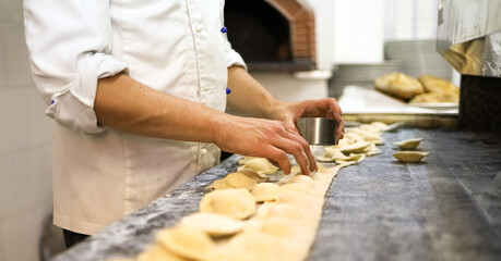 Young chef is making handmade dumplings. Concept of good, genuine and healthy cuisine