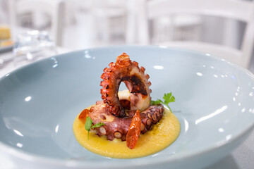 Octopus cooked and served on the plate