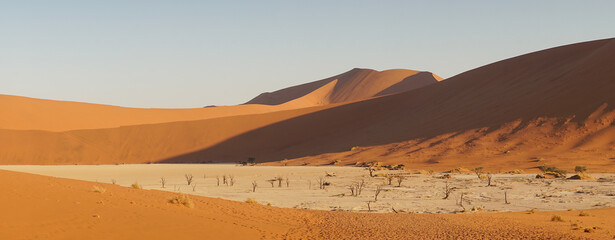 Fototapeta na wymiar Namib desert Deadvlei 