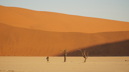 Namib desert Deadvlei 