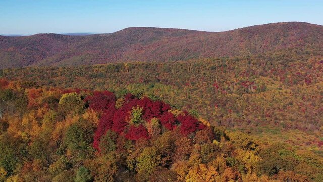 An aerial shot of Tibbet Knob, a peak of Great North Mountain, the border between Virginia and West Virginia. The trees are ablaze with colorful autumn foliage.