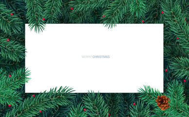 Fototapeta na wymiar Winter holiday background with blank white card and border frame of Christmas tree branches and berries. Vector template for New year card, banner, party poster and landing header.