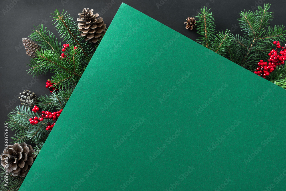 Canvas Prints christmas composition