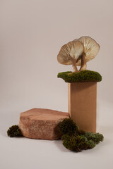 Podium on pastel background with mushroom and moss. For presentation helalth theraphy products.