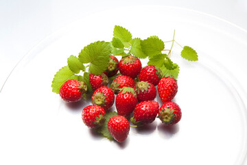 イチゴとレモンバーム