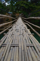 The stunning flora and fauna of the beaches and Chocolate Hills around Bohol Island in the Philippines