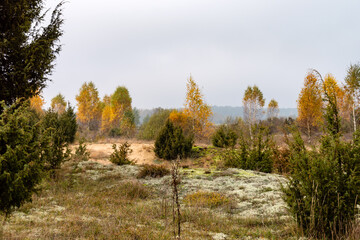 Jesienne krajobrazy Podlasia, Polska