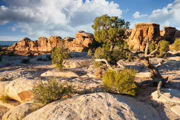 Canyonlands National Park, Utah. Blue Sky, Red Rocks, Green Grass, Remote Location.