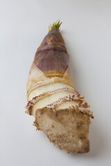 採れたてのタケノコ