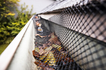 Plastic guard over gutter failure on a roof with a leaves stuck under the mesh