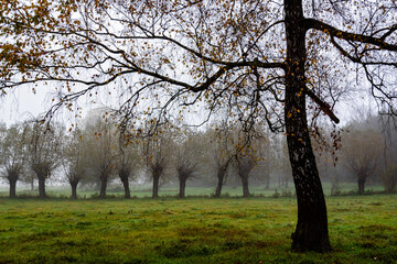 Jesienne krajobrazy Podlasia, Polska © podlaski49