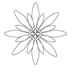 vectores florales y de mandalas