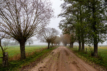 Jesienne krajobrazy Podlasia, Polska © podlaski49