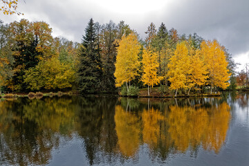 Fototapeta premium l'automne aux mille étangs