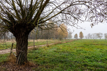 Jesienne krajobrazy Podlasia, Polska © podlaski49