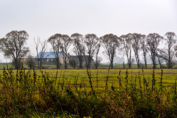 Jesienne krajobrazy Podlasia, Polska © podlaski49