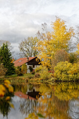 Fototapeta premium l'automne aux mille étangs