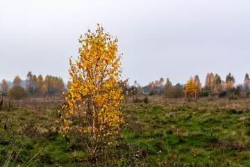 Jesienne krajobrazy Podlasia, Polska © podlaski49