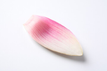 Beautiful pink lotus flower petal isolated on white