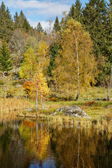 étang tourbière des Vosges en automne
