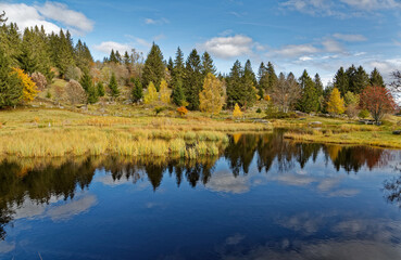 &eacute;tang tourbi&egrave;re des Vosges en automne