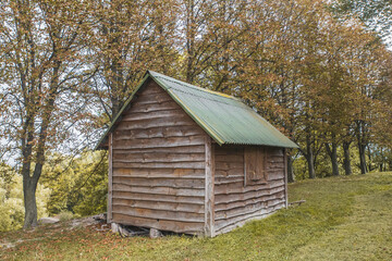 abandoned little hut in the autumn forest
