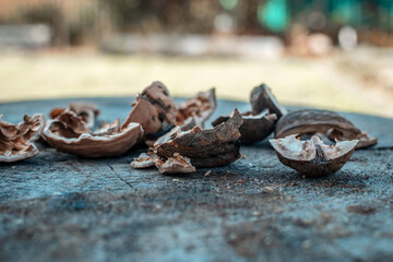 Broken walnut shells falling on a wooden surface. Outdoor side view. Selective focus