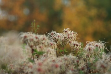 Fall in colors and your mood.