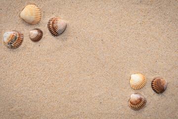 Arrière-plan grains de sable de mer, sable fin de plage et coquillages.