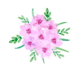 Bouquet of pink flowers decorated with green leaf. Illustration isolated on white background.
