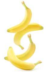 Bananas fall on a white background, levitating bananas. Isolated