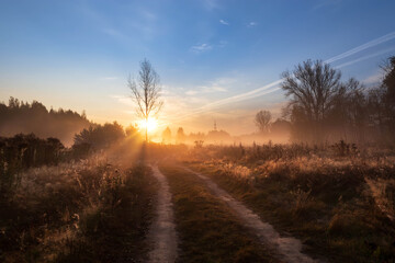 Mystic foggy landscape in the sunny morning in Russia.