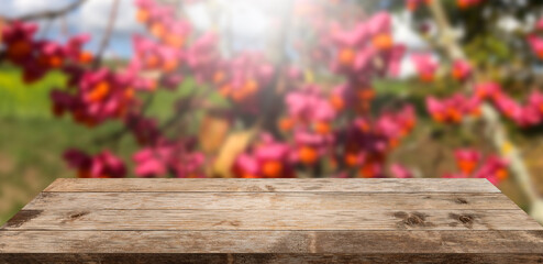 Autumn background, empty old rustic wood table with blur red flowers and sunlight, Autumn fall backdrop, banner for product display advertise online copy space, thanksgiving concept grungy floor