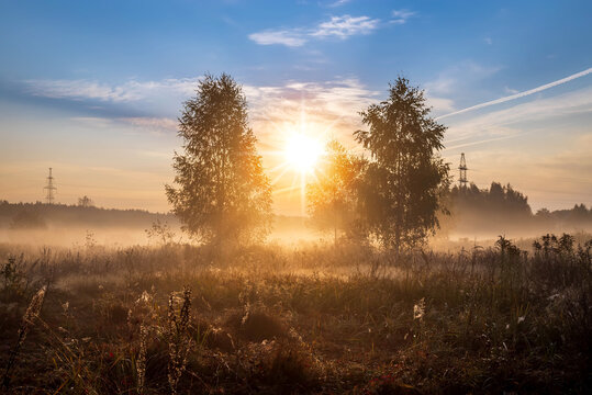 Mystic foggy landscape in the sunny morning in Russia. © sergofan2015