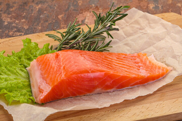 Piece of raw salmon