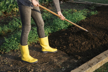 Woman in yellow rubber boots working in garden with rake leveling ground. Soil preparation for seeding and planting, garden tools, gardening, rake, soil, outdoor work concept.