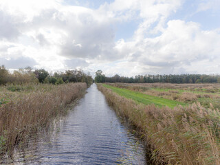 A ditch in Abcoude, the Netherlands