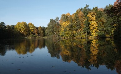 Fototapeta na wymiar Beautiful autumn landscape - colorful forest by lake and reflections in water in sunny day