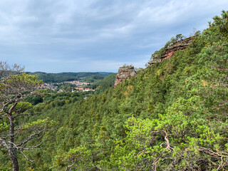 Fototapeta na wymiar Palatinate Forest