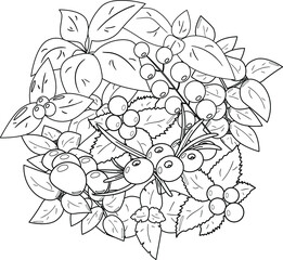 Сoloring page for coloring book: Christmas berries and leaves