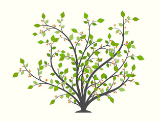 Bush plants with green leaves and red berries