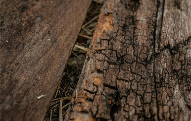 old plank of wood texture brown orange 